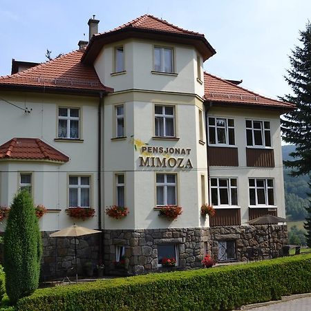 Pensjonat Mimoza Świeradów-Zdrój Εξωτερικό φωτογραφία